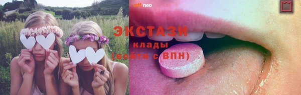 прущие грибы Вязники