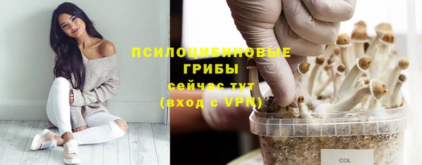 бошки Вяземский