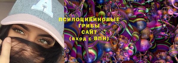 бошки Вяземский