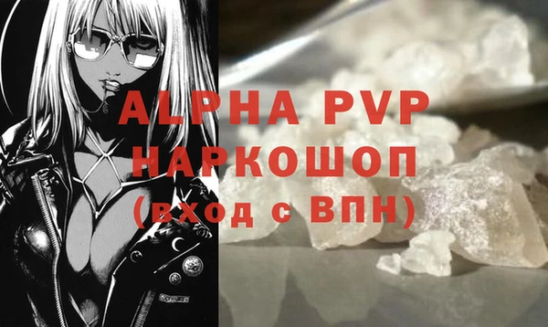прущие грибы Вязники