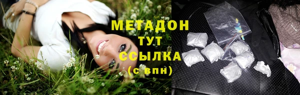 прущие грибы Вязники