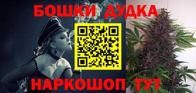 сатива Бийск