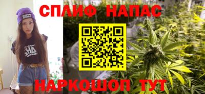 шишки Берёзовский