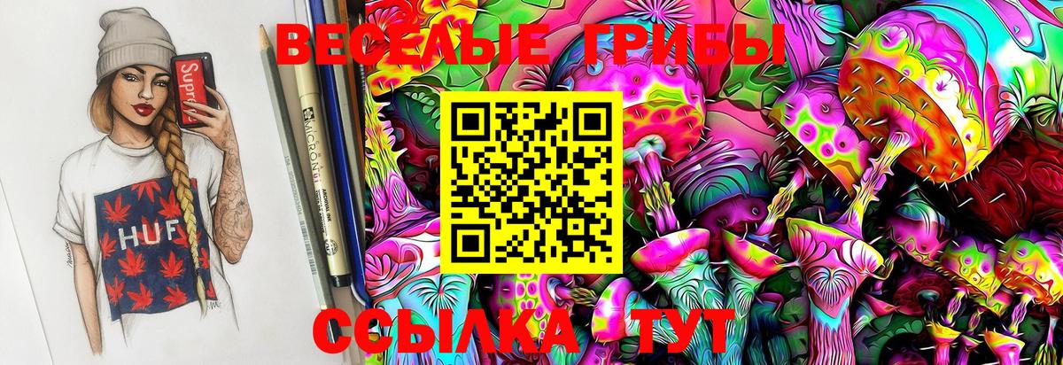 Галлюциногенные грибы прущие грибы  Вязьма  Псилоцибиновые грибы ЛСД 