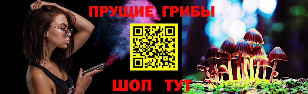 Псилоцибиновые грибы прущие грибы  Вход с VPN  Вязьма  Галлюциногенные грибы прущие грибы 